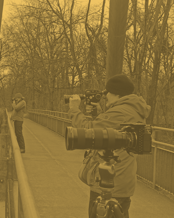 web_doc_MDM (1)
